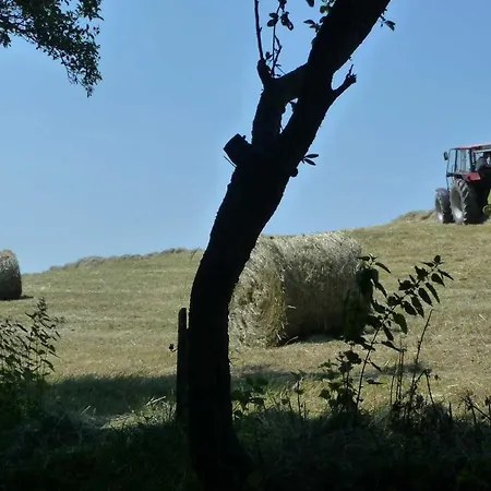 Agroturismo Hansmartihof