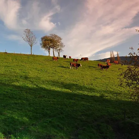 Agroturismo Hansmartihof *